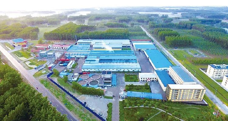 中国这一产品太便宜,新西兰巨头急了!官方启动反倾销调查(组图) - 11