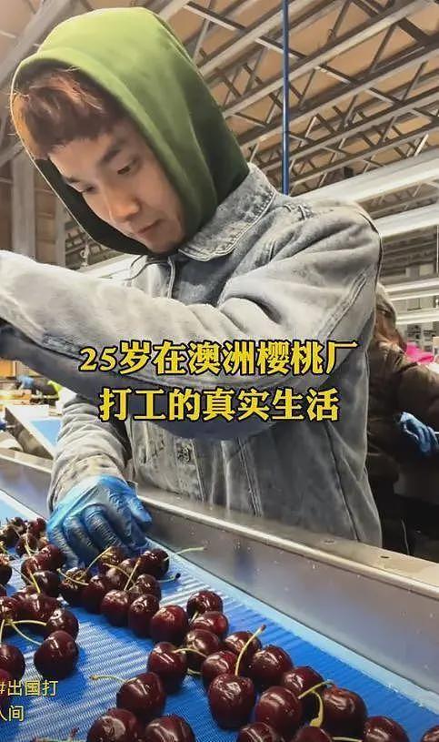 放弃世界500强工作,中国小伙来澳当蓝领!“国内卷的太痛苦,想看看世界”(组图) - 7