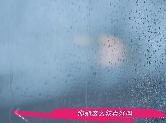 董璇自曝离婚内幕！谈前夫高云翔出轨落泪，坦言一辈子忘不了（组图） - 14