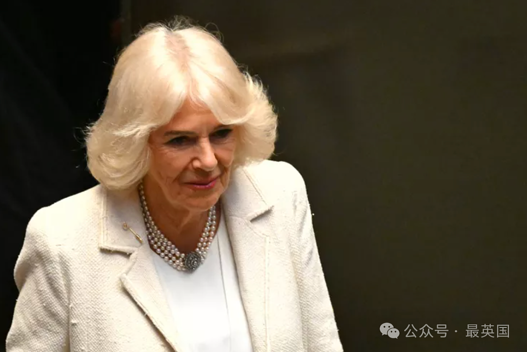 78岁卡米拉再被捧上天！王室专家看好她比女王更长寿，她却一句话凡尔赛了全网…（组图） - 16