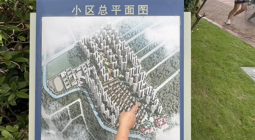 黄杨钿甜事件追踪，千万公司为何连夜转让？（组图） - 10