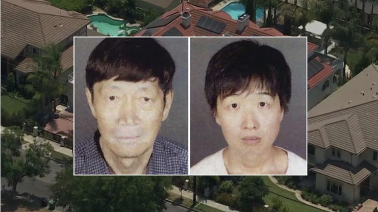 炸裂!相差27岁华人夫妇代孕狂生21娃,婴儿豪宅内被虐至脑出血,被控重罪,所有孩子被带走(组图) - 2