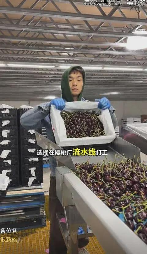 放弃世界500强工作,中国小伙来澳当蓝领!“国内卷的太痛苦,想看看世界”(组图) - 4