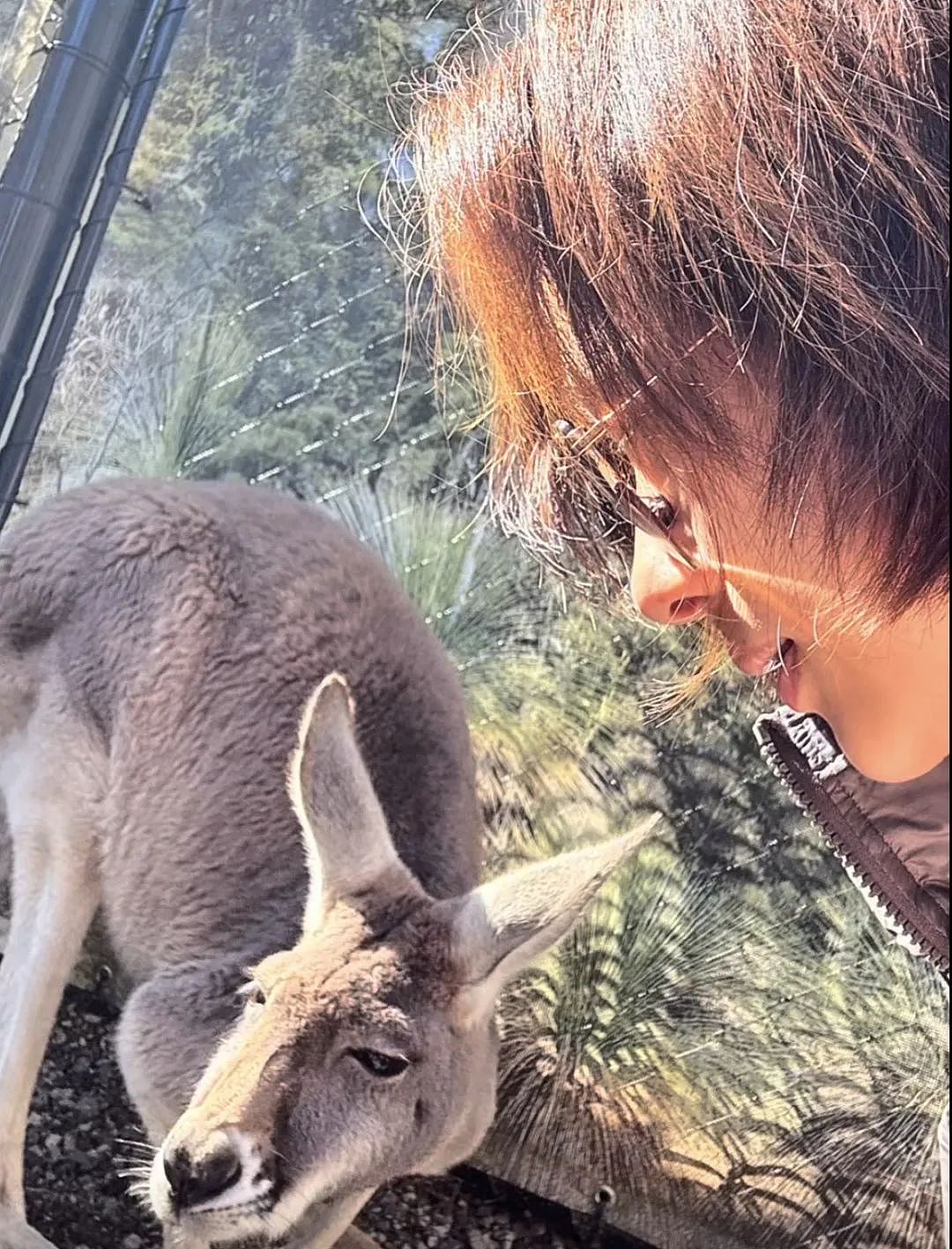 TVB前花旦一家澳洲旅行!年近半百被赞冻龄,坚持不靠医美驻颜(组图) - 6