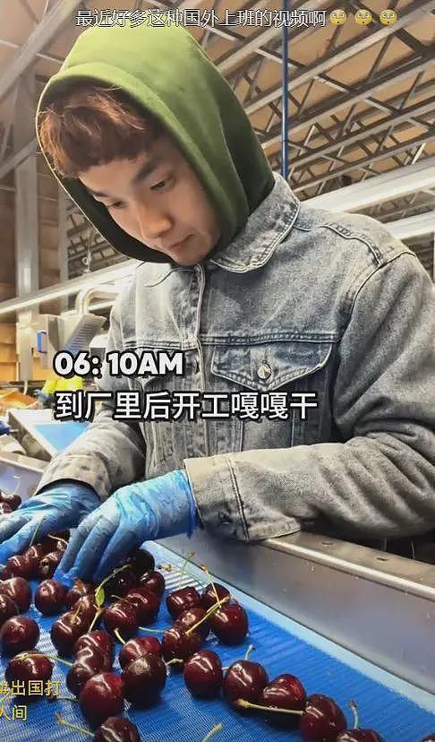 放弃世界500强工作,中国小伙来澳当蓝领!“国内卷的太痛苦,想看看世界”(组图) - 11