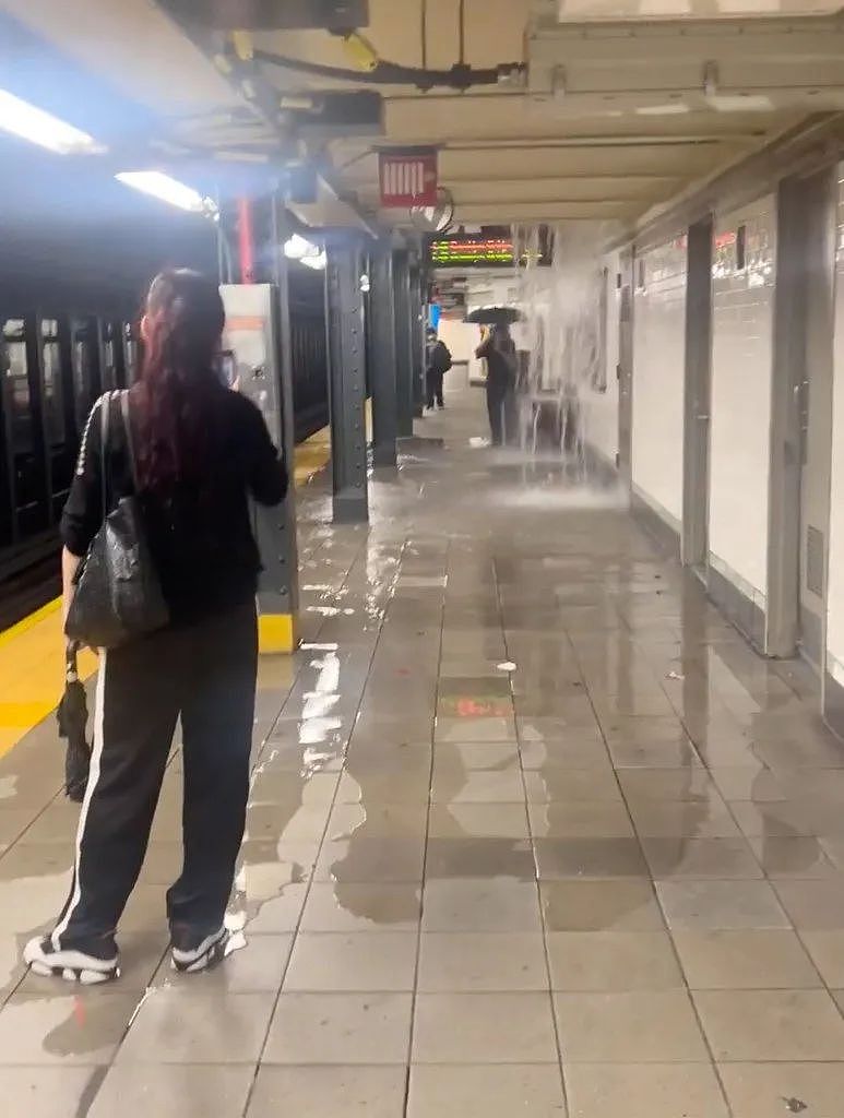 纽约突遭雷暴狂袭!创下史上第二强降雨记录!暴雨倾城,地铁被困,交通瘫痪(组图) - 1