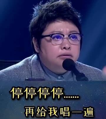 韩红舞台暴怒叫停！含泪痛斥：必须对观众负责（组图） - 1