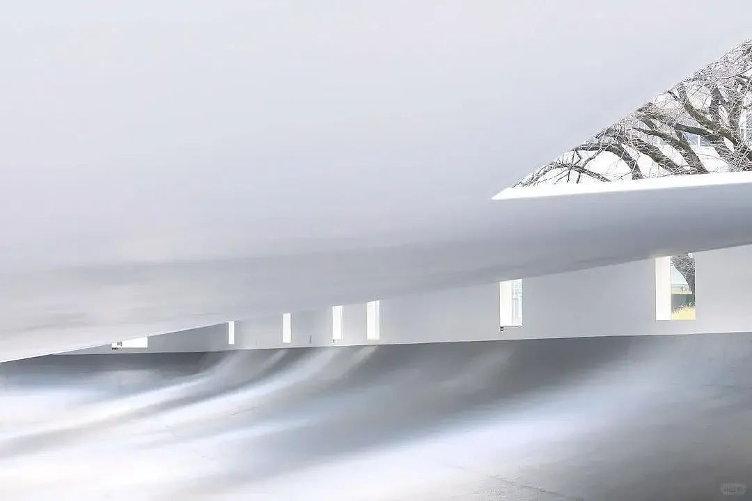 日本“最空白”建筑!无墙无柱无固定用途,59扇天窗让雨水阳光随意进出!网友:躺着发呆都变浪漫了(组图) - 3