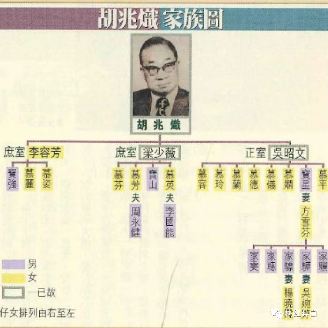 张学友支持、何超琼捧场!他到底什么来头?其母才是真正的豪门狠角色?(组图) - 16