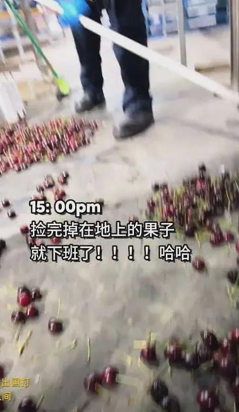 放弃世界500强工作,中国小伙来澳当蓝领!“国内卷的太痛苦,想看看世界”(组图) - 15