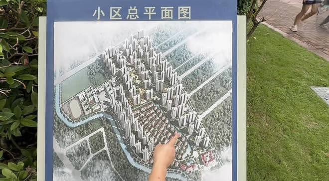 黄杨钿甜“天价耳环”事件反思：一场非理性质疑与谣言苟合的网络闹剧（组图） - 11