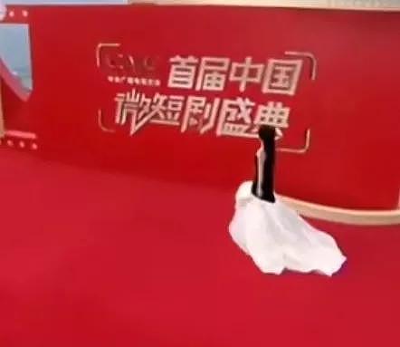 短剧盛典：刘念瘦成排骨精，余茵学聪明挡住恨天高，徐艺真变老气（组图） - 8