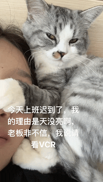 【宠物】员工上班迟到理由是以为天没亮,老板不信,赶紧晒出有力证明,网友一看:难怪会迟到(组图) - 1