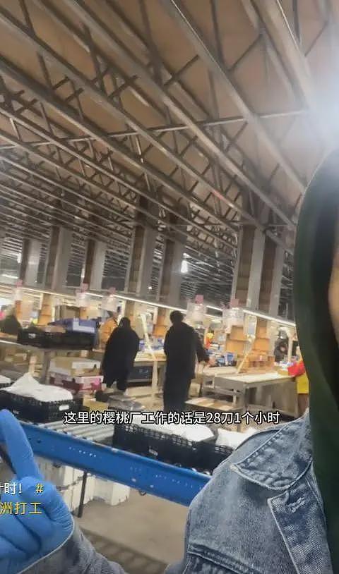 放弃世界500强工作,中国小伙来澳当蓝领!“国内卷的太痛苦,想看看世界”(组图) - 8