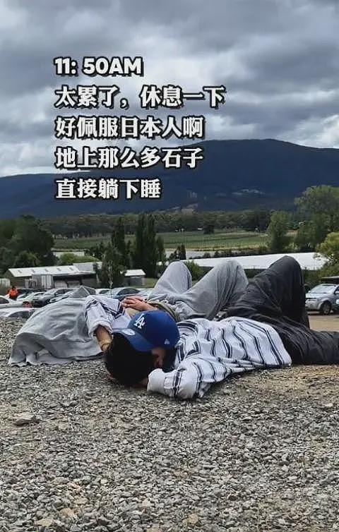 放弃世界500强工作,中国小伙来澳当蓝领!“国内卷的太痛苦,想看看世界”(组图) - 14