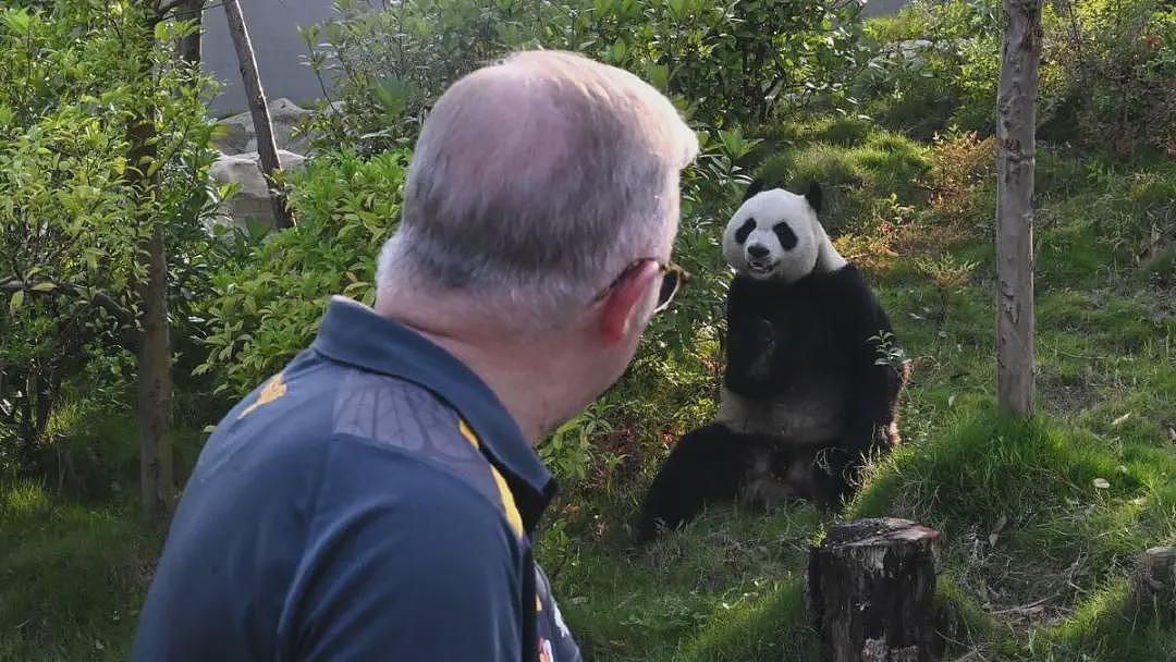 又有新规在路上!房子继续不够,澳洲移民人数持续增加,失业率,破产企业数新高(组图) - 3