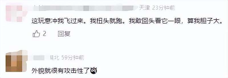 家中出现“巨型蟑螂”,网友:看起来有1米长(组图) - 4
