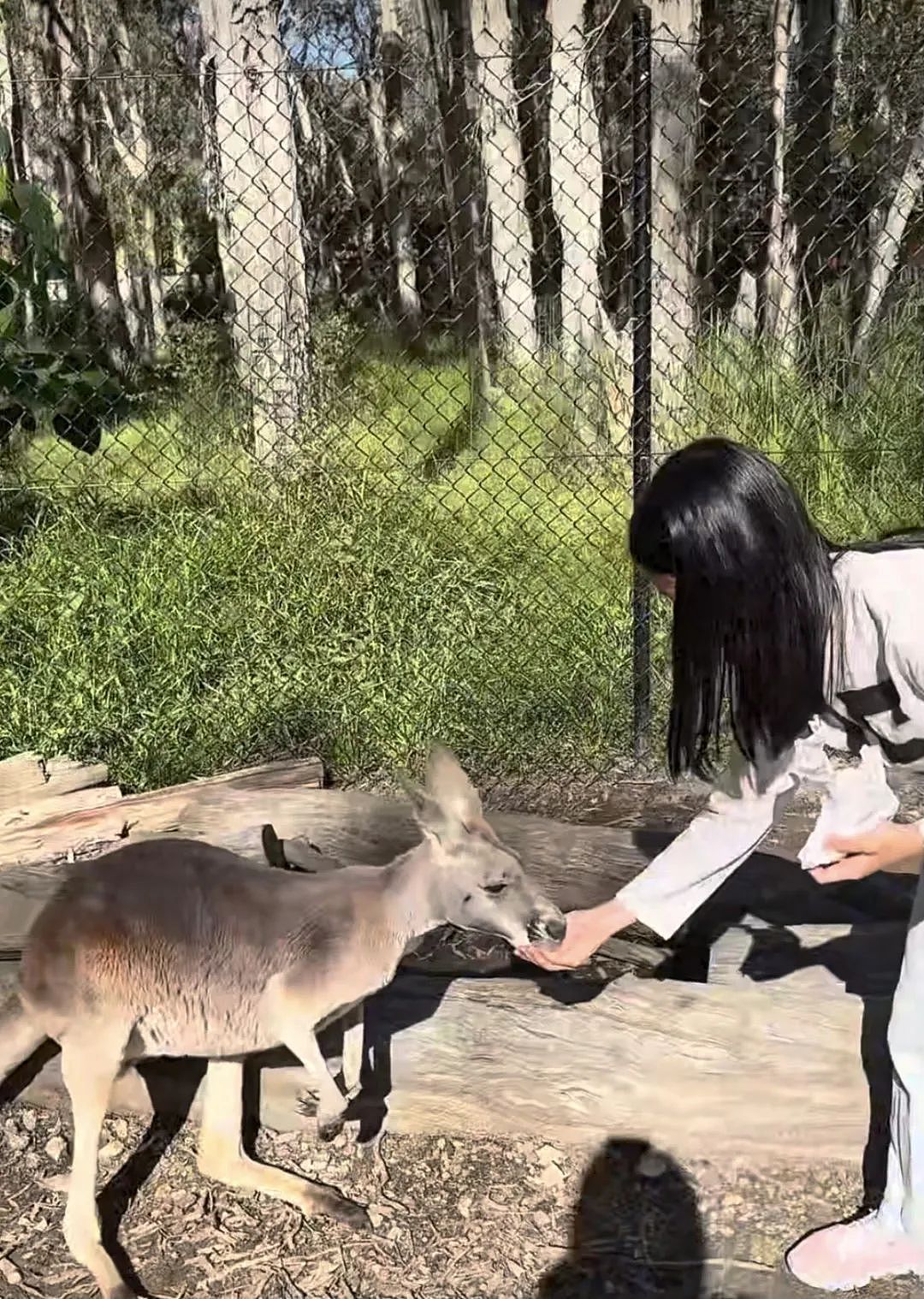 TVB前花旦一家澳洲旅行!年近半百被赞冻龄,坚持不靠医美驻颜(组图) - 4