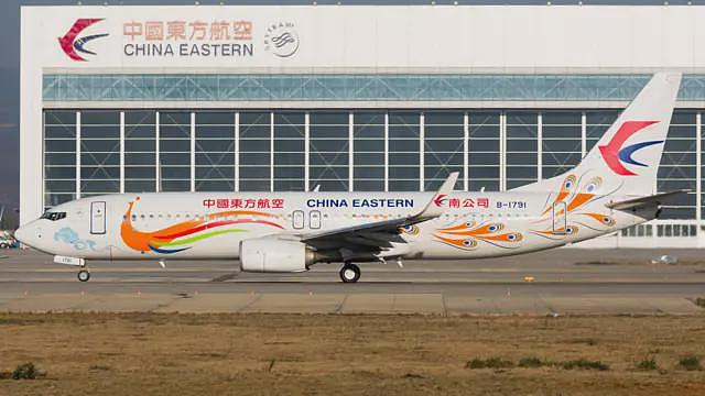 印度空难后中国东航的一起类似事件被重提,“可能危及国安”会将真相尘封吗(组图) - 1