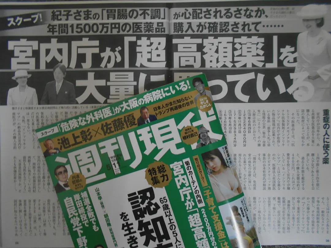 日本未来天皇疑患克罗恩病，恐失去继承权（组图） - 8