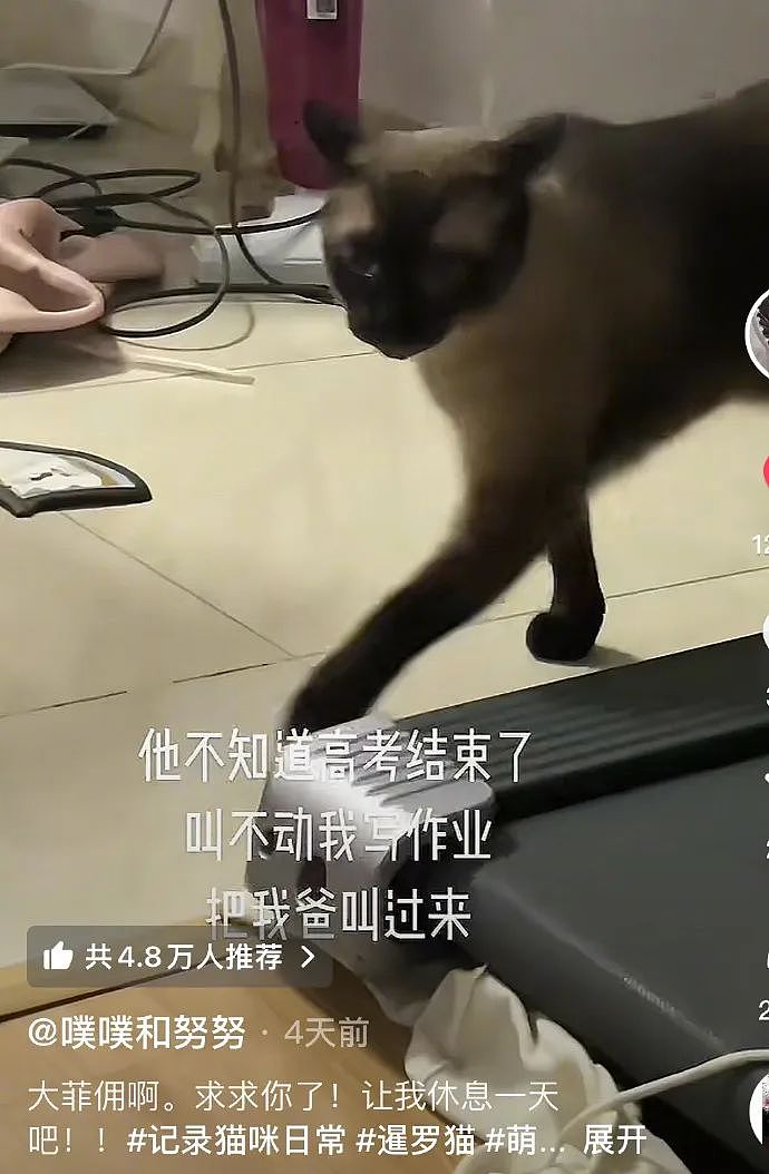 【爆笑】男朋友的报备照片发网上后,网友发现了蛛丝马迹! 网友:这口红是认真的(组图) - 7