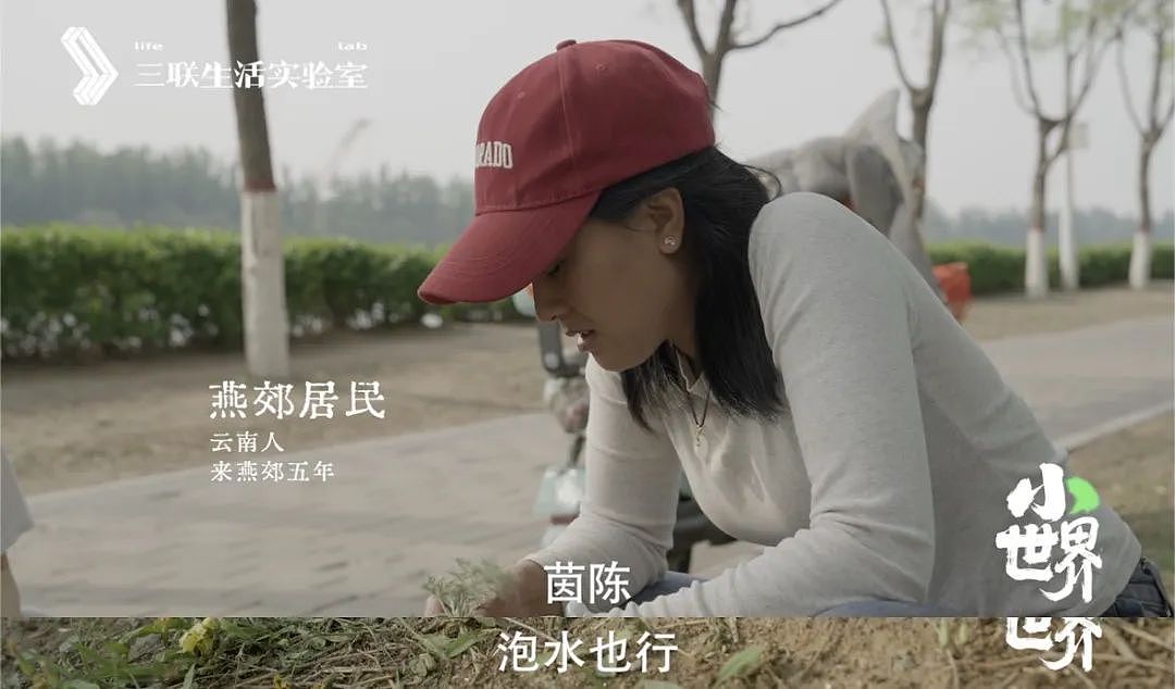 全中国最魔幻的飞地，被这部纪录片拍明白了（组图） - 5