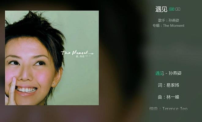 韩红发文暴露孙燕姿的真实人品,这次,她让整个娱乐圈“沉默”了(组图) - 19