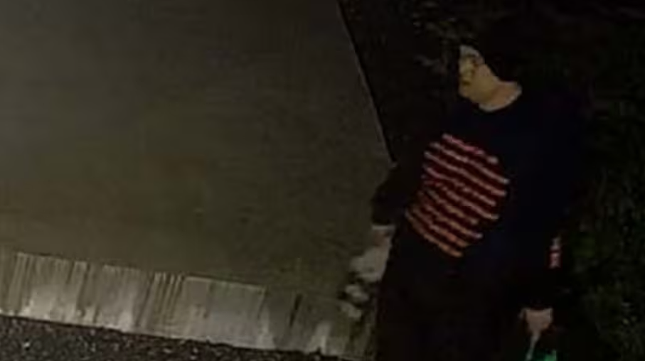 “我们无能为力！”奥克兰混凝土卡车事故后续：死者为38岁华人司机！NZ学校发生火灾，警方紧急寻人！女子因“大麻蛋糕”被捕（组图） - 11