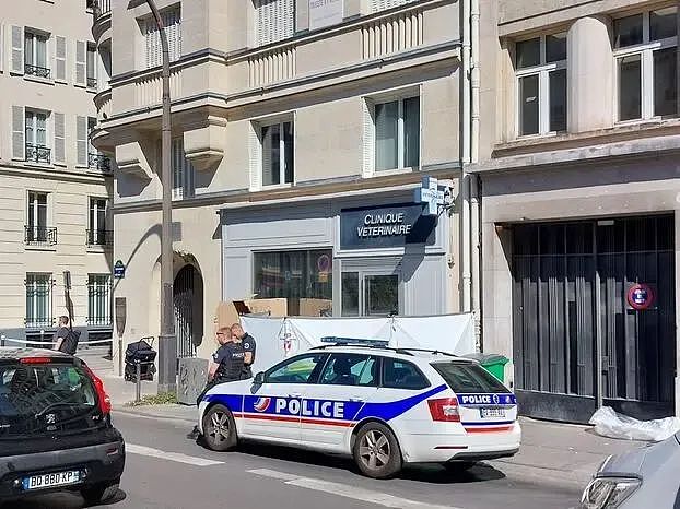 悲剧!华裔演员为捡手机从8楼坠亡(组图) - 1