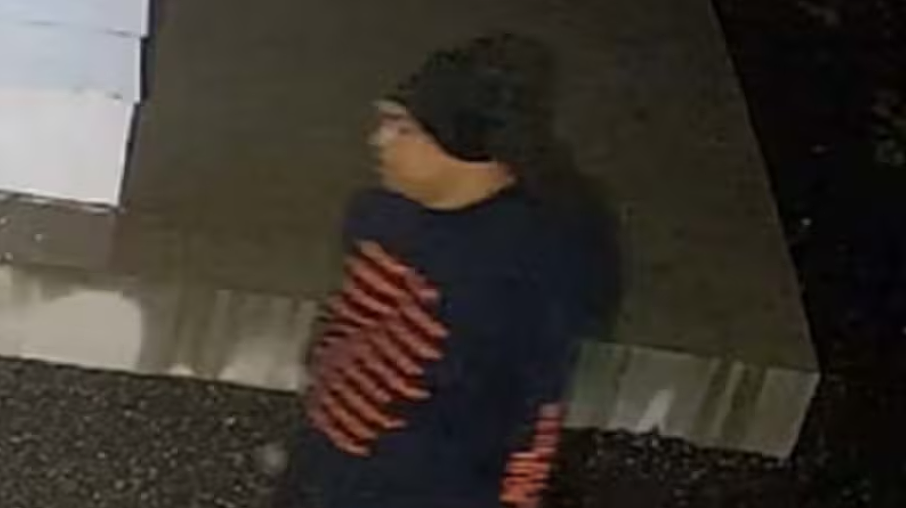 “我们无能为力！”奥克兰混凝土卡车事故后续：死者为38岁华人司机！NZ学校发生火灾，警方紧急寻人！女子因“大麻蛋糕”被捕（组图） - 9