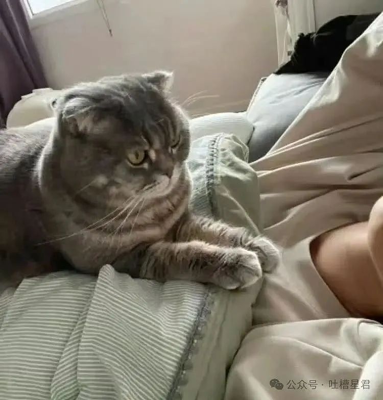 【爆笑】爷爷花9.9买的监控拍出了灵魂出窍...？啊啊啊走近科学都得拍三集（组图） - 39