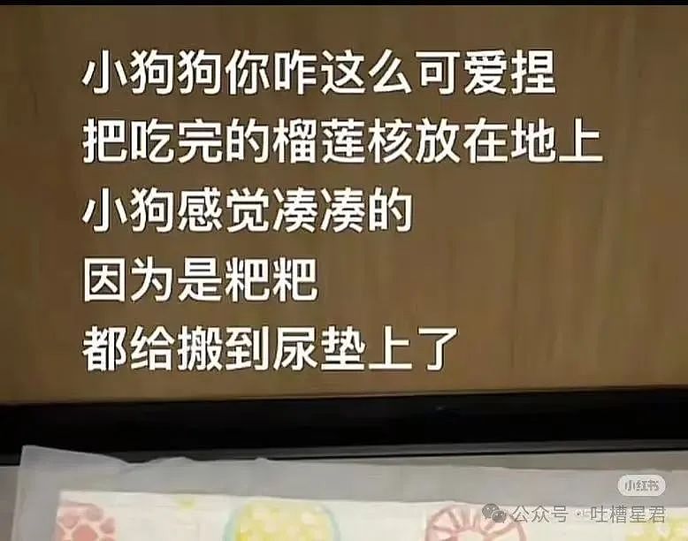 【爆笑】爷爷花9.9买的监控拍出了灵魂出窍...？啊啊啊走近科学都得拍三集（组图） - 25