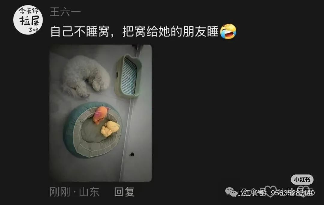 【爆笑】爷爷花9.9买的监控拍出了灵魂出窍...？啊啊啊走近科学都得拍三集（组图） - 27