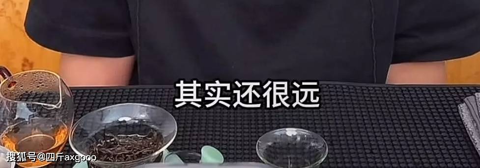 朱孝天直播惹争议!表示明星赚的不多,希望汪小菲多赚钱养孩子(组图) - 12