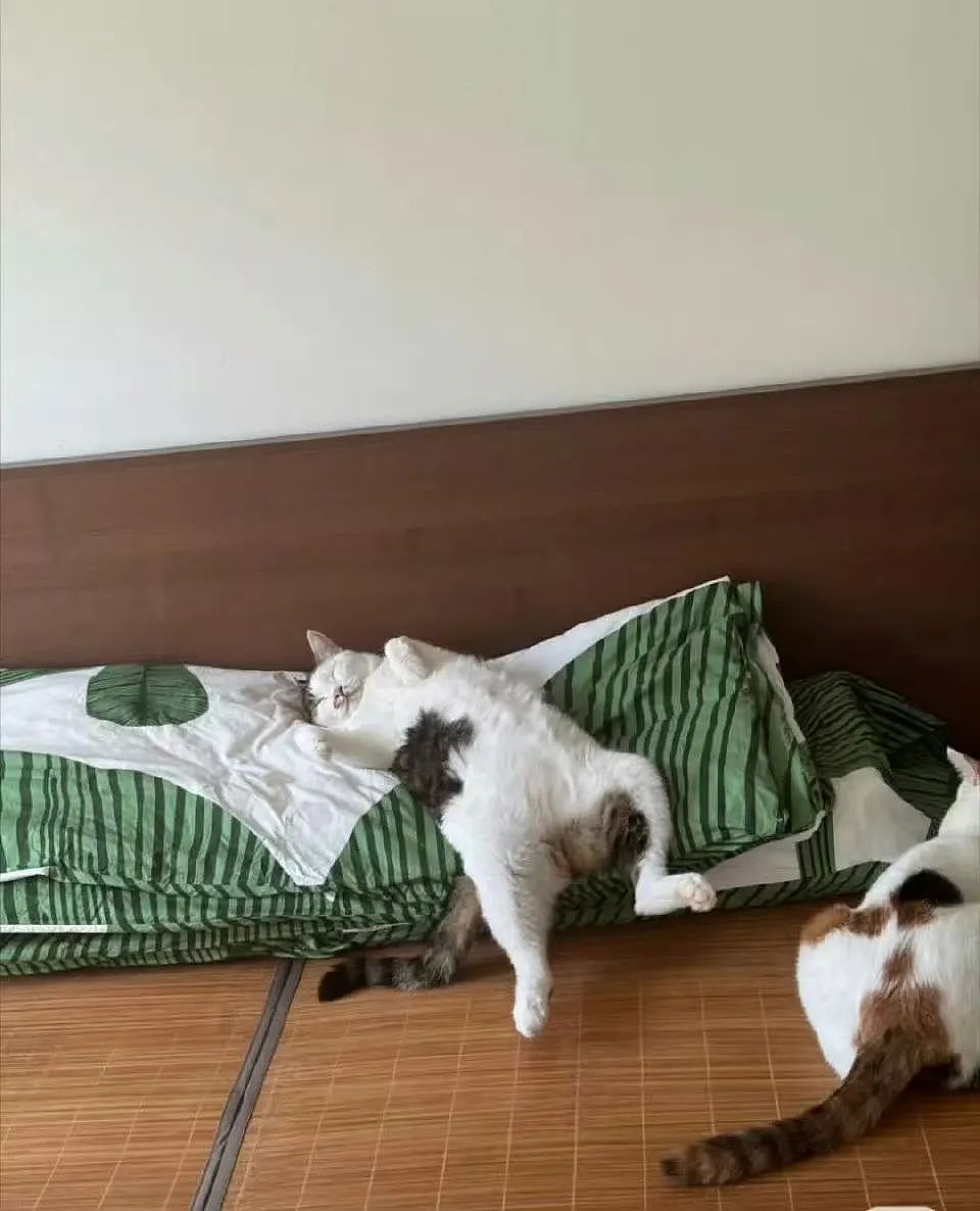 【爆笑】“几个月没回家后看爷爷的手机.....” 哈哈哈哈哈哈救命直接成培养皿了（组图） - 41
