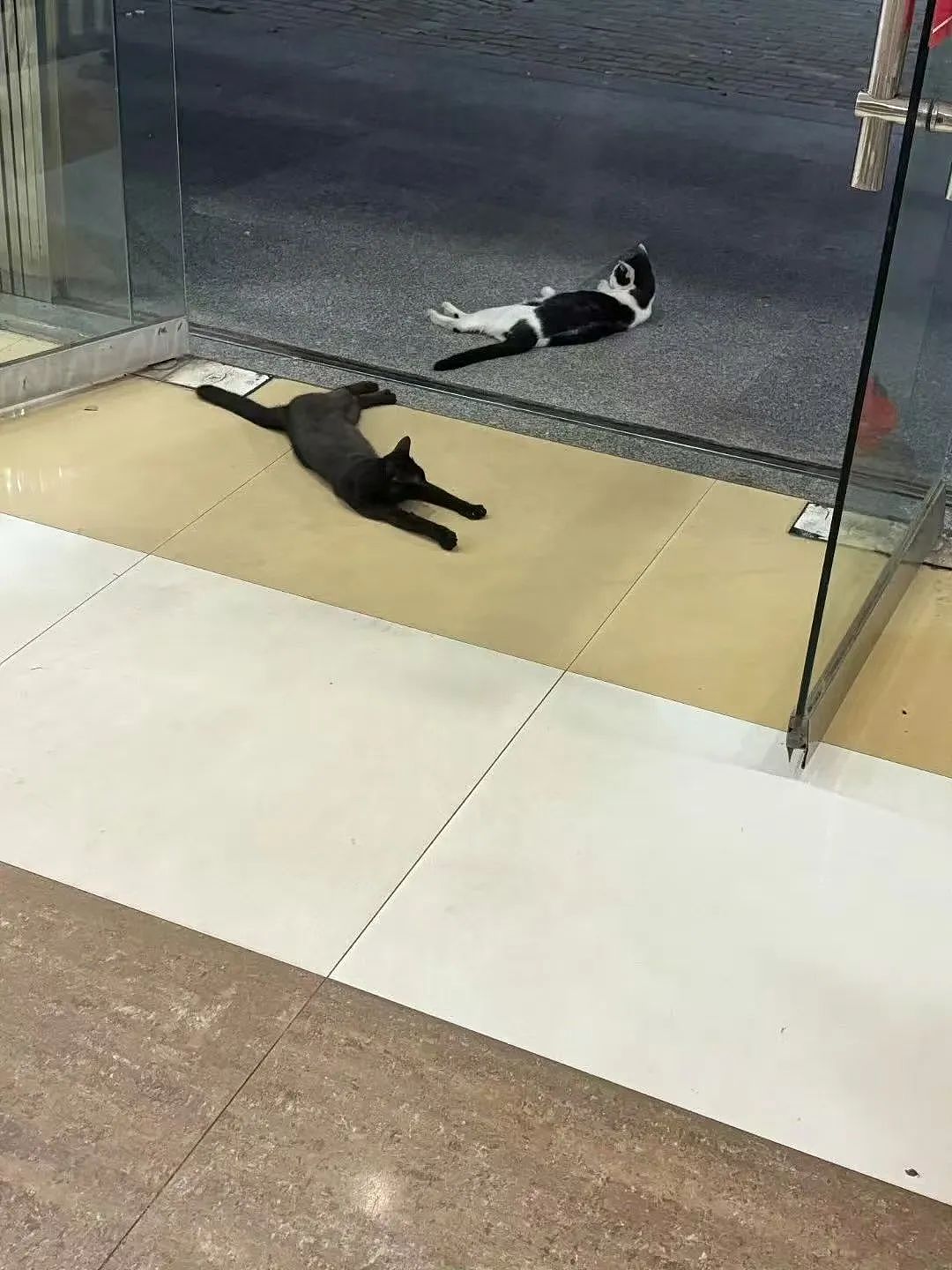 【爆笑】“几个月没回家后看爷爷的手机.....” 哈哈哈哈哈哈救命直接成培养皿了（组图） - 69