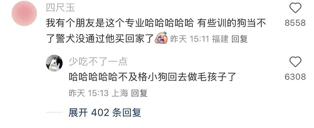 【爆笑】“女生被录取到警犬专业后.......” 啊啊啊啊啊啊啊羡慕疯了(组图) - 11
