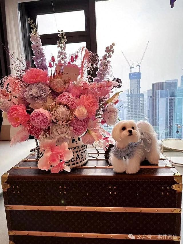 女子分手后想把和前男友养的狗买回来，花了60多万元！结果傻眼（组图） - 1