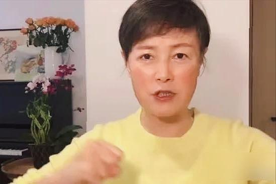 杜建英被曝小三身份，史晓燕疯狂洗白，向太直播怒怼掀老底！（组图） - 6