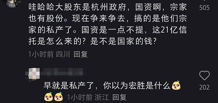 又轮到宗馥莉被骂了？宗家海外资产大曝光（组图） - 32
