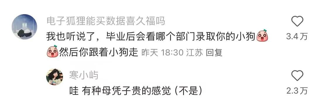 【爆笑】“女生被录取到警犬专业后.......” 啊啊啊啊啊啊啊羡慕疯了(组图) - 10