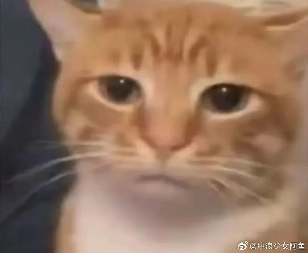 【爆笑】“女生被录取到警犬专业后.......” 啊啊啊啊啊啊啊羡慕疯了(组图) - 56