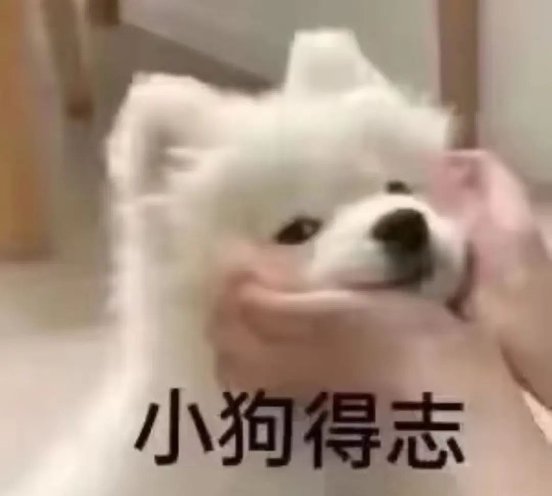 【爆笑】“女生被录取到警犬专业后.......” 啊啊啊啊啊啊啊羡慕疯了(组图) - 23