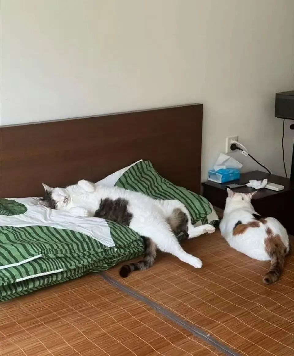 【爆笑】“几个月没回家后看爷爷的手机.....” 哈哈哈哈哈哈救命直接成培养皿了（组图） - 40