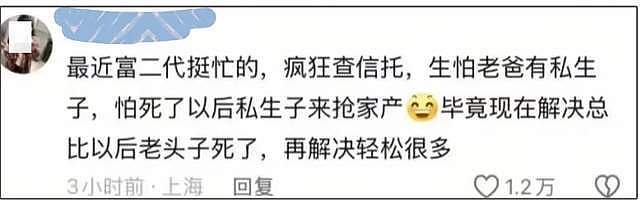 宗馥莉事件连锁反应!富二代们又查信托又立遗嘱,评论区好精彩!(组图) - 10