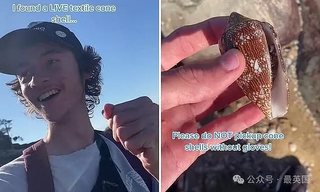 男子潜水捡到罕见贝壳后爱不释手玩了半天,数百网友惊呼:送死操作!快扔!(组图) - 7
