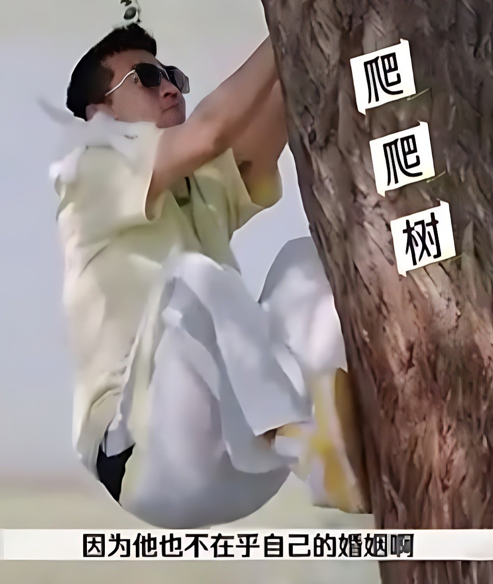 黄圣依也没想到吧?离婚才6个月,她的前夫杨子越来越“抽象”了(组图) - 15