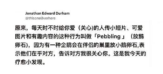 【爆笑】身高160体重130的男朋友说我胖，还暗示想分手 ​​，这算PUA么？（组图） - 19