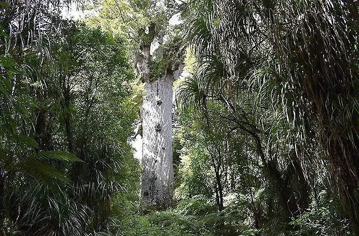 新西兰获评“世界最佳旅游目的地”，澳洲排名第六！网友狂赞：实至名归（组图） - 24