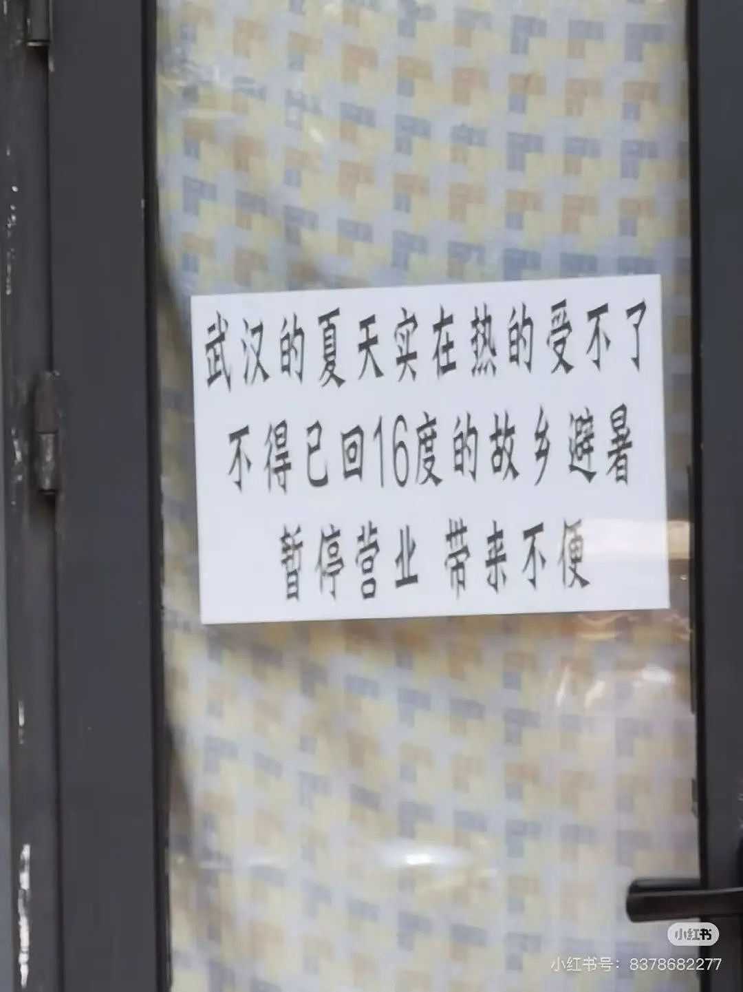 【爆笑】“5年没回家听说自己被枪毙了…？”哈哈哈村里传的谣言太离谱（组图） - 30